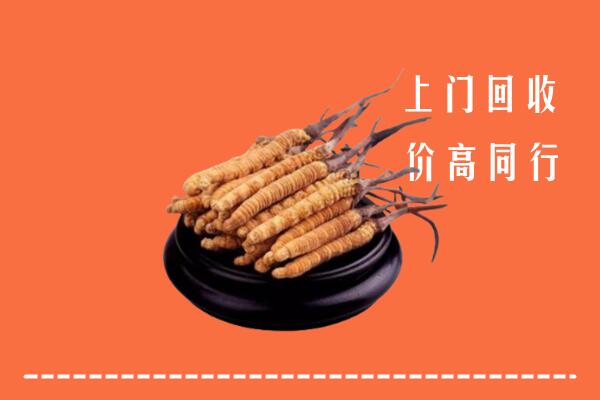 菏泽市巨野回收散虫草