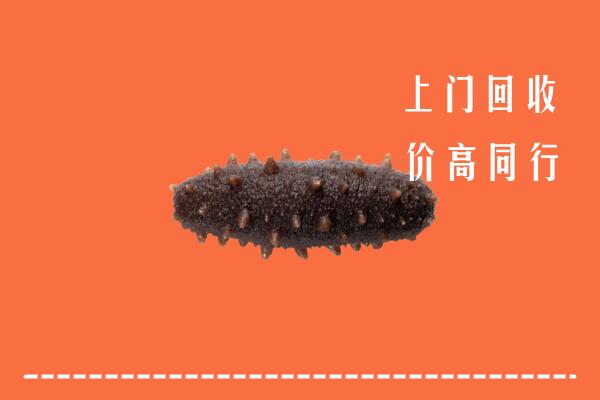 菏泽市巨野回收海参