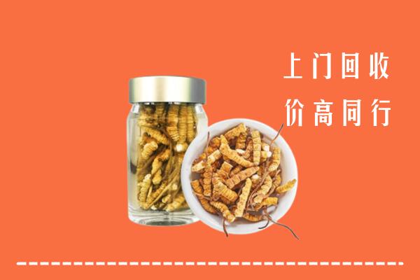菏泽市巨野回收冬虫夏草